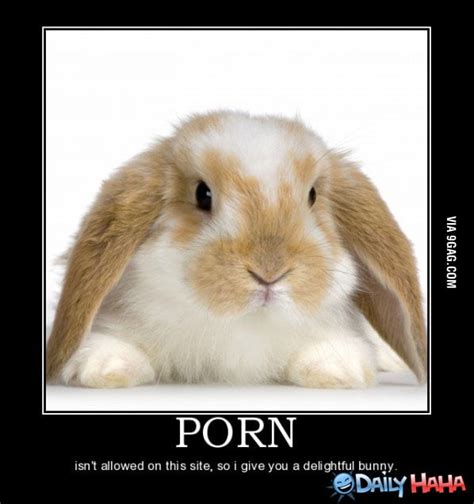 easter bunny porn videos